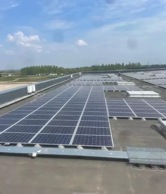Panneaux solaires dans le Grand Est